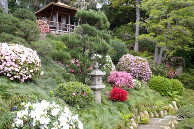 HannahCarterJapaneseGarden-mailingIMG_WEB310x232