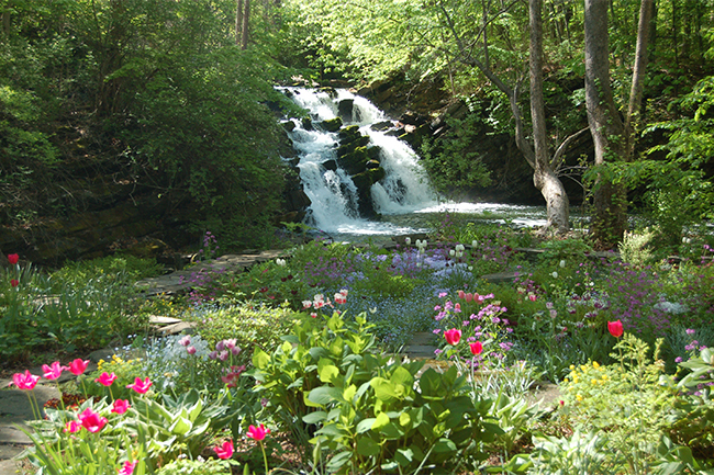 Dutchess County, NY Open Day