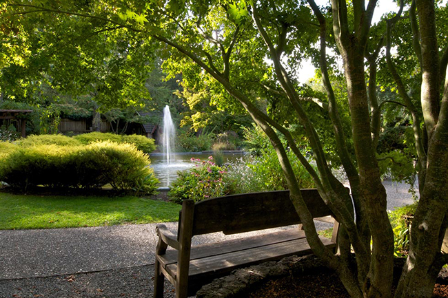 Marin Art and Garden Center : Garden Directory : The Garden Conservancy Marin Art and Garden Center : Garden Directory : The Garden Conservancy