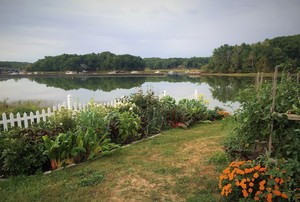 Boardman Vegetable Gardens