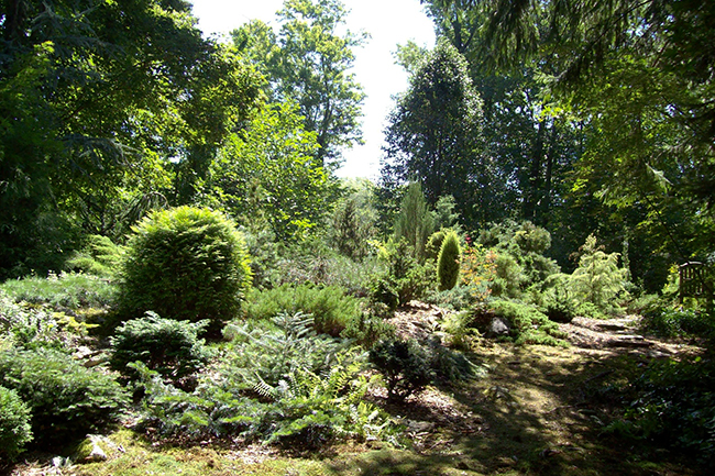 Garden of Jean & John Nonna