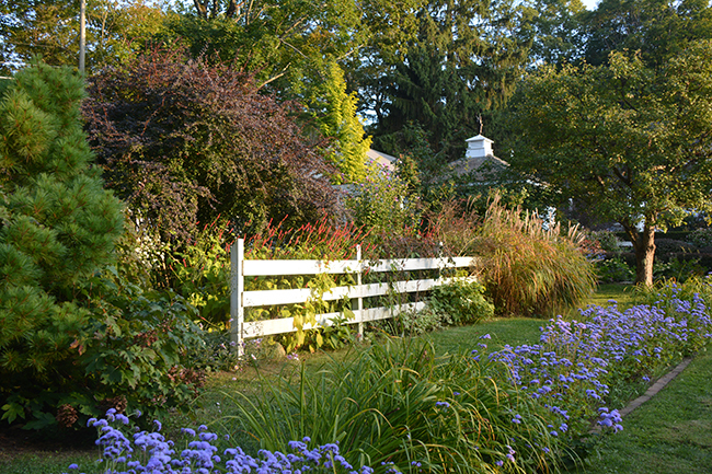 Digging Deeper: Spectacular Late-Season Garden Interest—A Workshop with Lynden Miller