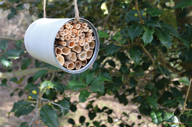 Family Time: Bee Hotel Workshop
