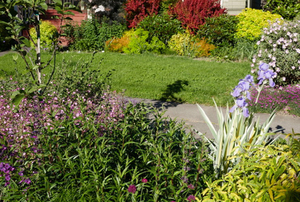 Ediger Garden