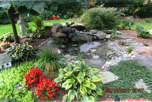 Basford Family Garden