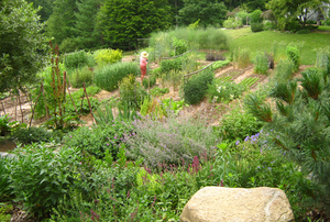 Brian Stroffolino's HeartLand Farms and Sylvia Davatz's Garden