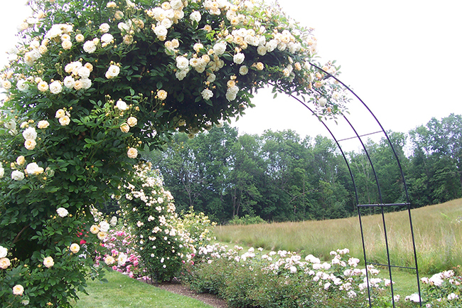 Westchester County, NY Open Day