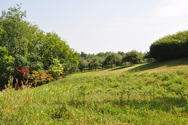 Digging Deeper: An Autumn Afternoon with Linda Allard at Highmeadows Members