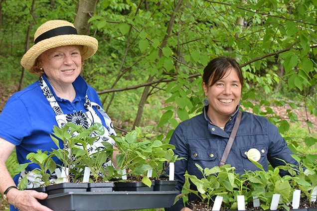 Digging Deeper: Amazing Annuals - Usual, Unusual, and Where to Find Them Non-Members