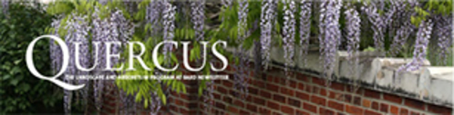 Quercus spring 2018mastheadweb307w