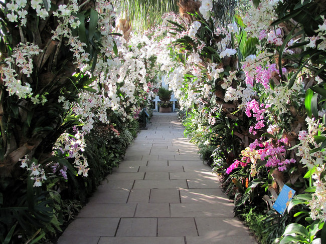 Restoring a National Icon: The Enid A. Haupt Conservatory