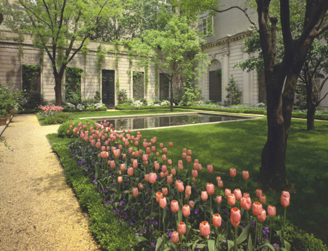 Restoring the 70th Street Garden at the Frick