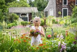 Gardens at Clock Barn—Home of Maureen and Mike Ruettgers