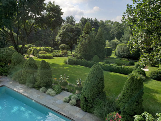 Digging Deeper: Change and Continuity—The Evolution of a Garden - Members