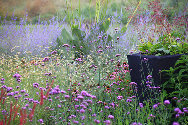 Digging Deeper: The Evolution of a New American Garden - General admission