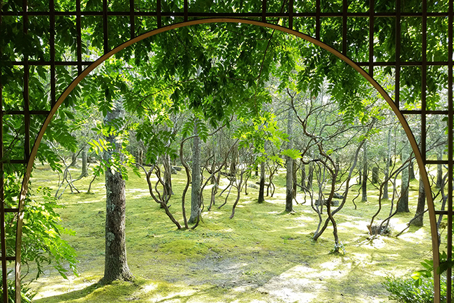 Yugen : Garden Directory : The Garden Conservancy