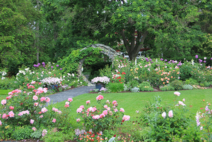 Blithewold Mansion, Gardens & Arboretum