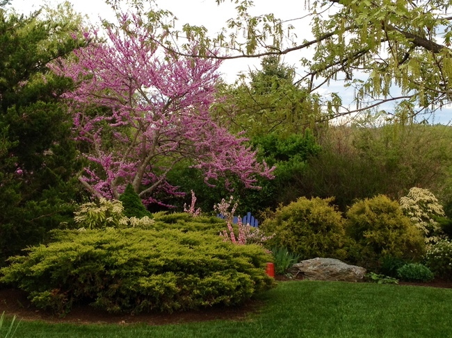 Columbia County, NY Open Day :: Events : The Garden Conservancy