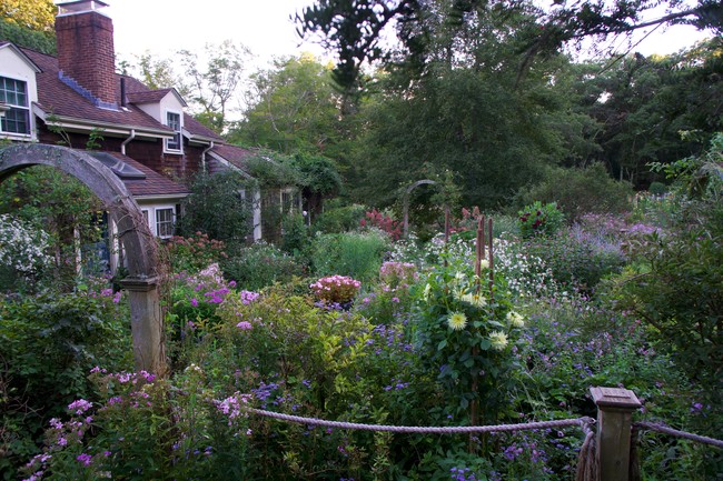 Digging Deeper: The Low Maintenance Garden