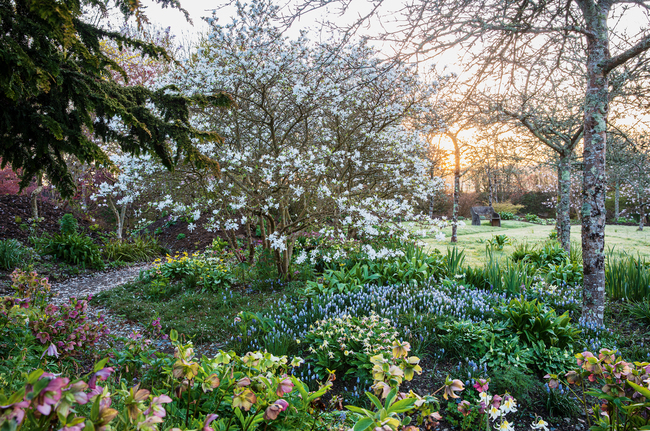Virtual Talk 10-6-22: The Seasonal Gardener