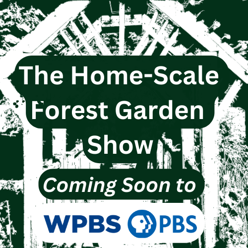 The Home-Scale Forest Garden